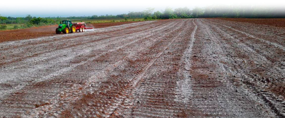 Enmienda Agrícola para corregir la acidez del suelo grupo Enlasa Triple Cal, enmienda agrícola de Grupo Enlasa para corregir la acidez del suelo y mejorar la fertilidad de los cultivos.