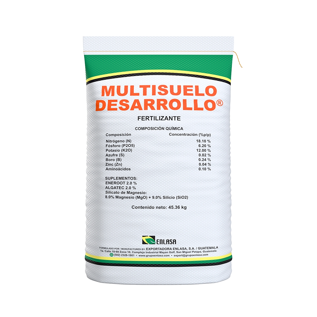Multisuelo Desarrollo