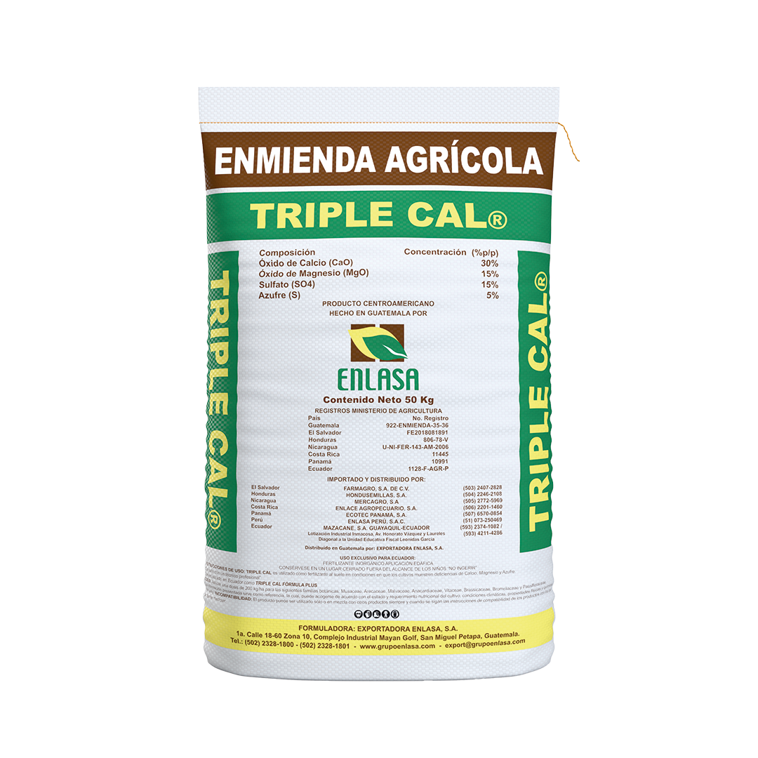 Triple Cal