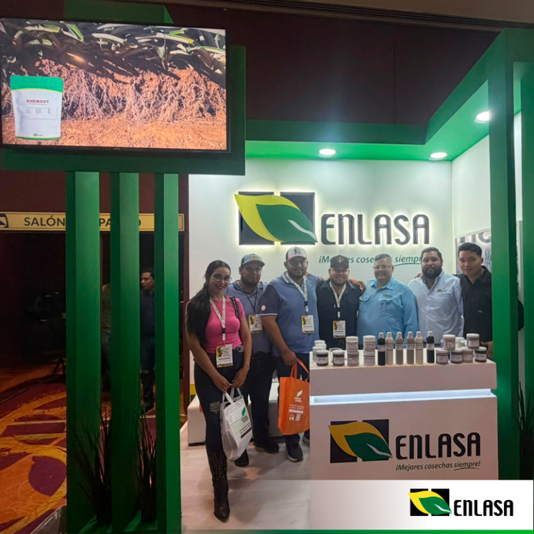 Curso sobre Cultivo de Piña: Grupo Enlasa suma presencia en el sector piñero de Veracruz