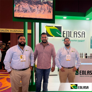 Curso sobre Cultivo de Piña