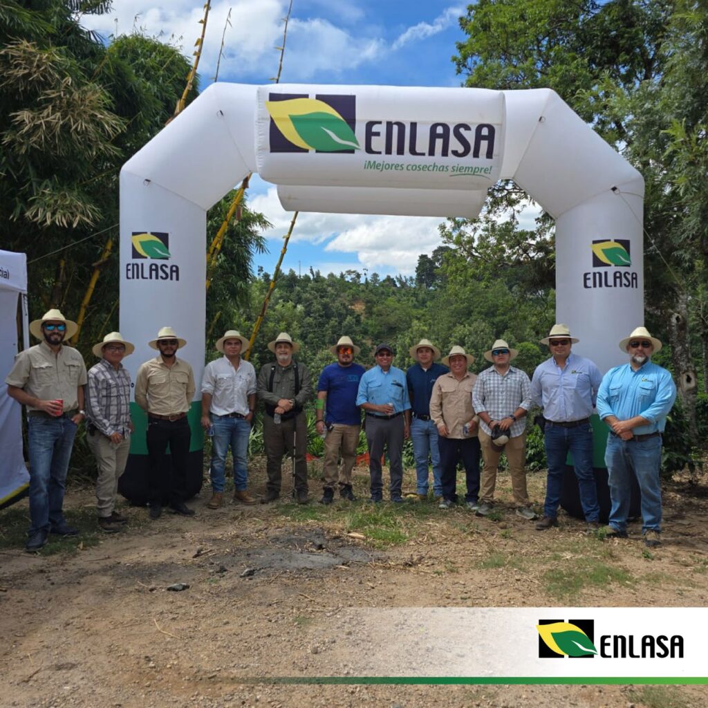 Curso sobre Cultivo de Piña