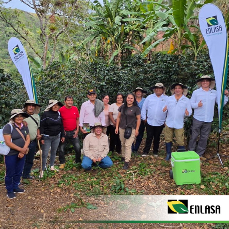 Café 360°: Grupo Enlasa capacita a productores del norte del Perú en manejo rentable del cafetal
