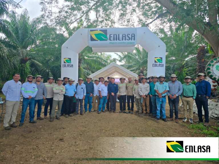 Grupo Enlasa impulsa el intercambio de experiencias que transforman la productividad de palma.